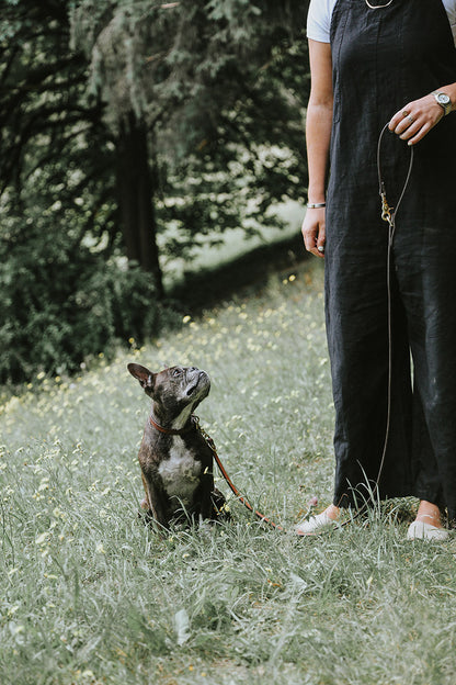 Natural leather convertible canine lead with brass hardware, held by a person next to a brindle French Bulldog in a grassy field.