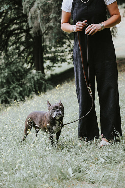 Natural convertible canine lead in dark brown leather held by a person with a French Bulldog in a grassy field.