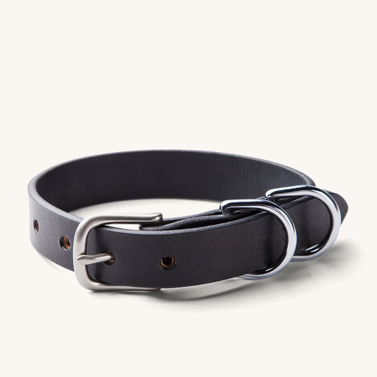 Black leather canine collar with a silver buckle and two D-rings, shown from an angled view.