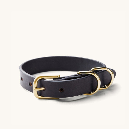 Black leather canine collar with a brass buckle and two D-rings, lying flat.
