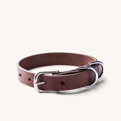 Classic cognac leather dog collar with a silver-tone buckle and two D-rings.